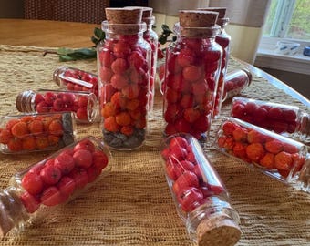 May include: Several glass bottles filled with red and orange berries, some with cork stoppers. The bottles are arranged on a textured surface, creating a visually appealing display. The berries appear fresh and vibrant.