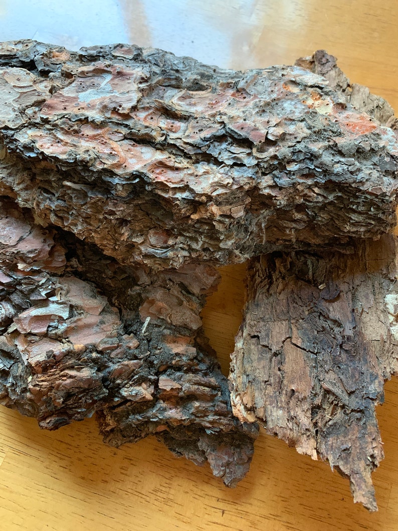 Ponderosa Pine Bark: Natural Craft Material, Terrarium Habitat, Rustic ...
