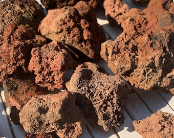 May include: A collection of red and brown lava rocks, some with a porous texture, arranged on a white surface.