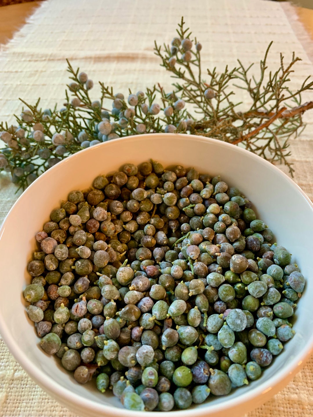 Organic Fresh Juniper Berries 1/2 Pound Etsy