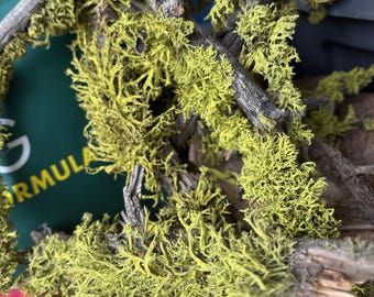 May include: A close-up of a bunch of dried branches covered in bright green moss. The branches are intertwined and create a natural, rustic look.