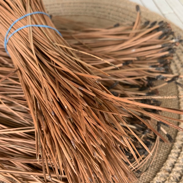 Dry Light Brown Pine Needle ,Long Leaf Pine Needle, PNW Needle, basket weaving needles, home decor, craft project,