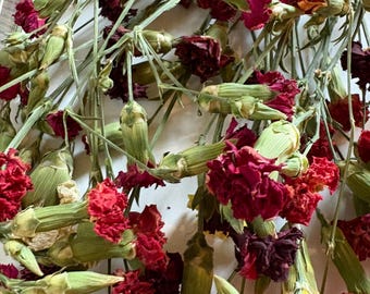 May include: A bunch of dried carnations in various shades of red, pink, and purple. The flowers are arranged on a white surface and have green stems.