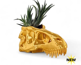 T-Rex Tyrannosaurus Skull Pot, Vertical Planter with Drainage Hole, Dino Air Plant Holder