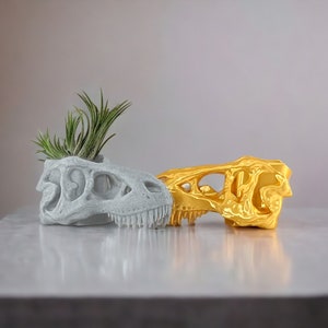 Op de afbeelding: Twee dinosaurus schedel potten, een is wit en de andere is goud. De witte pot heeft een kleine luchtplant die erin groeit.