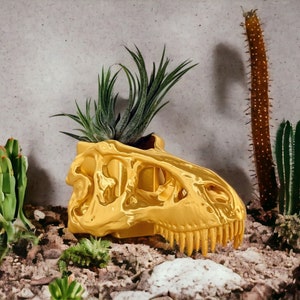 Op de afbeelding: Een gouden dinosaurus schedel plantenpot met een vetplant die erin groeit. De pot staat op een bed van zand en kleine planten.