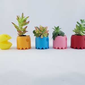 May include: Five colourful ghost-shaped planters with succulents. The planters are yellow, blue, pink, and red. A yellow Pac-Man figure is in the foreground.