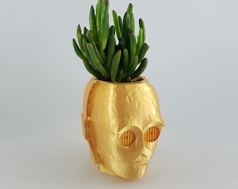 Star Wars C-3PO Planter Sukkulenten Pflanzentopf