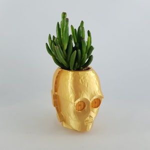 May include: A gold-coloured planter shaped like the head of C-3PO from Star Wars. The planter is filled with a green succulent plant.