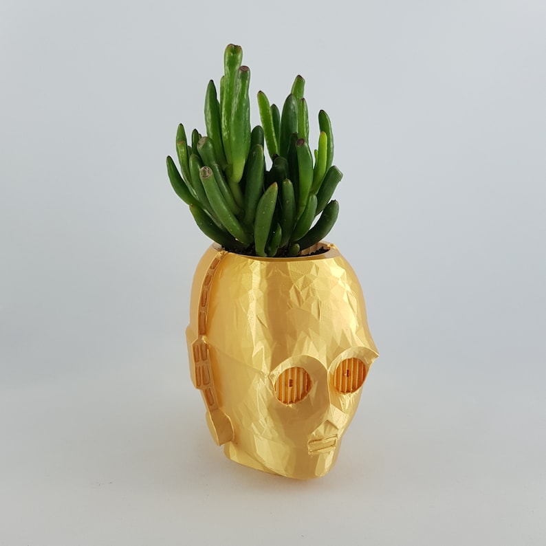 May include: A gold-coloured planter shaped like the head of C-3PO from Star Wars. The planter is filled with a green succulent plant.