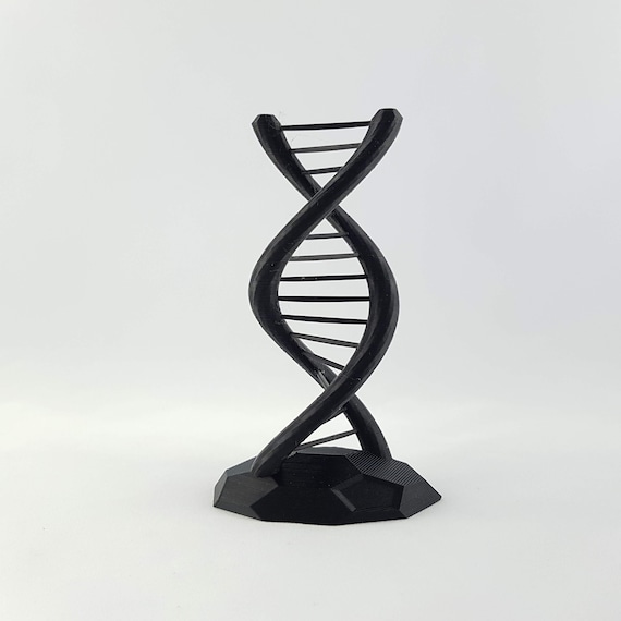 Dna Helix 3d Model