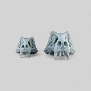 Op de afbeelding: Twee grijze dinosaurus schedel sculpturen, een groter dan de andere, met open monden en zichtbare tanden.