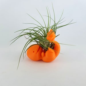 May include: Orange 3D printed planter shaped like a cartoon character holding a plant. The plant is a small air plant with green leaves.