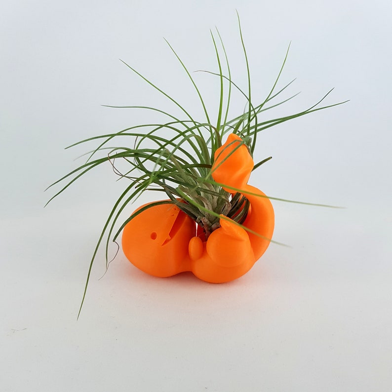 May include: Orange 3D printed planter shaped like a cartoon character holding a plant. The plant is a small air plant with green leaves.
