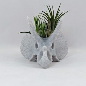 Triceratops schedel luchtplantenhouder, 3D-geprinte stegosaurus, succulente plantenbak cactussen, dinosaurusdecor afbeelding 3