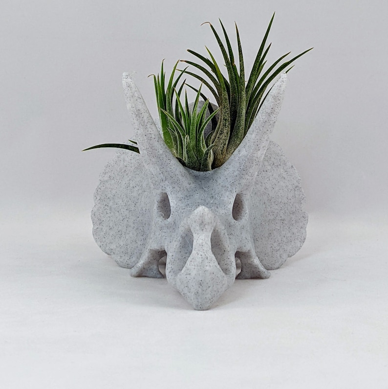 Triceratops schedel luchtplantenhouder, 3D-geprinte stegosaurus, succulente plantenbak cactussen, dinosaurusdecor afbeelding 3