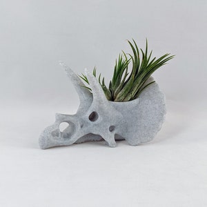 Triceratops schedel luchtplantenhouder, 3D-geprinte stegosaurus, succulente plantenbak cactussen, dinosaurusdecor afbeelding 5
