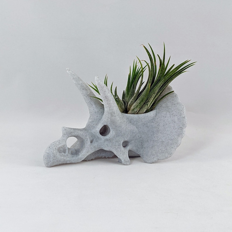 Triceratops schedel luchtplantenhouder, 3D-geprinte stegosaurus, succulente plantenbak cactussen, dinosaurusdecor afbeelding 5