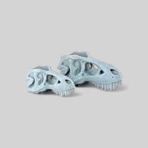 Op de afbeelding: Twee witte plastic dinosaurus schedel potten. De grotere schedel is op de achtergrond en de kleinere schedel is op de voorgrond. Beide schedels hebben een getextureerd oppervlak.