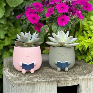 K&ouml;nnte beinhalten: Zwei Sukkulenten in skurrilen, l&auml;chelnden rosa und gr&uuml;nen T&ouml;pfen, die jeweils ein blaues Buch halten. Der Hintergrund zeigt leuchtend rosa Bl&uuml;ten und gr&uuml;nes Laub, wodurch eine fr&ouml;hliche, gartenbezogene Darstellung entsteht.
