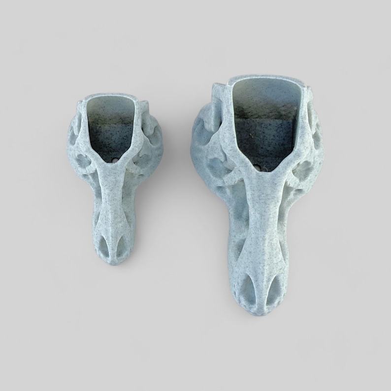 Op de afbeelding: Twee witte keramische dinosaurus schedel potten, een groter dan de andere. De potten zijn gedetailleerd met een getextureerd, bot-achtig oppervlak.
