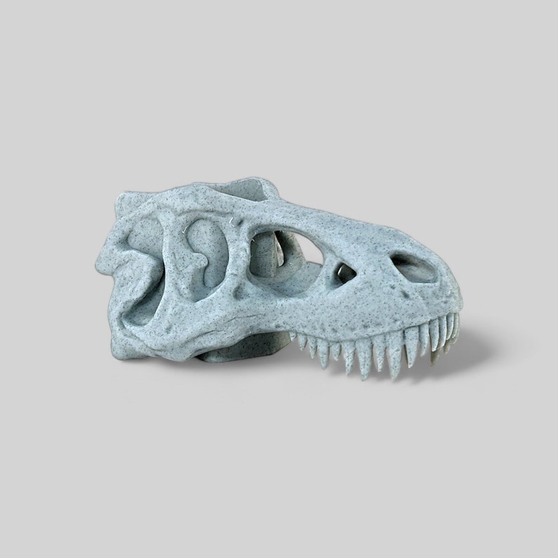Op de afbeelding: Een grijze, 3D-geprinte dinosaurus schedel met een getextureerd oppervlak. De schedel mist de bovenkant van de kop, waardoor de binnenkant van de schedel zichtbaar is.