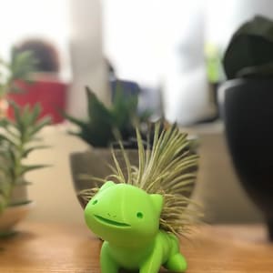 May include: A bright green, 3D printed planter shaped like a cartoon animal with a spiky, light green plant growing out of the top.