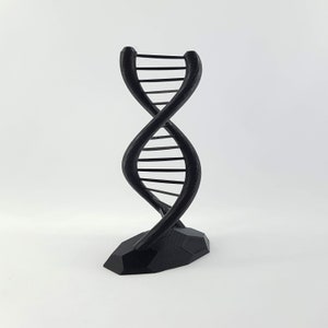 Op de afbeelding: Een zwart 3D-geprint model van een DNA-dubbele helix, staand op een getextureerde basis.