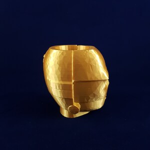 May include: A gold-coloured, 3D printed planter shaped like a human head. The planter has a textured surface and a round opening at the top.