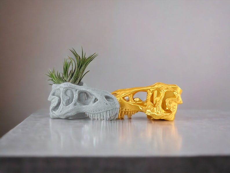 Op de afbeelding: Twee dinosaurus schedel potten, een is wit en de andere is goud. De witte pot heeft een kleine luchtplant die erin groeit.