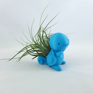 May include: A blue ceramic planter shaped like a cartoon turtle with a green air plant growing out of the top.