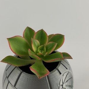 May include: A succulent plant with green leaves and red edges growing in a gray, 3D printed planter shaped like the Death Star from Star Wars.