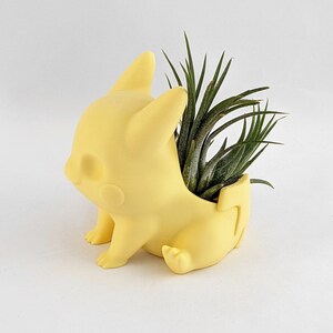 May include: A yellow Pikachu-shaped planter with a green air plant growing inside.