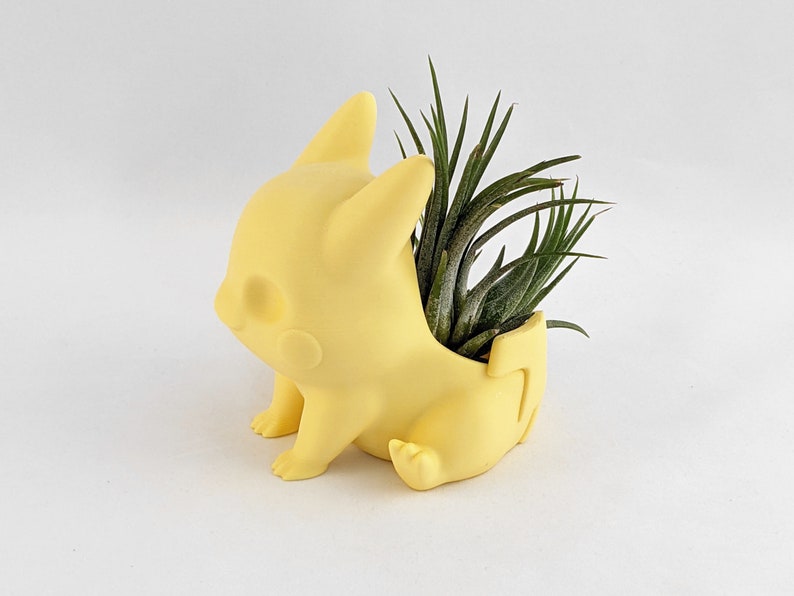 May include: A yellow Pikachu-shaped planter with a green air plant growing inside.