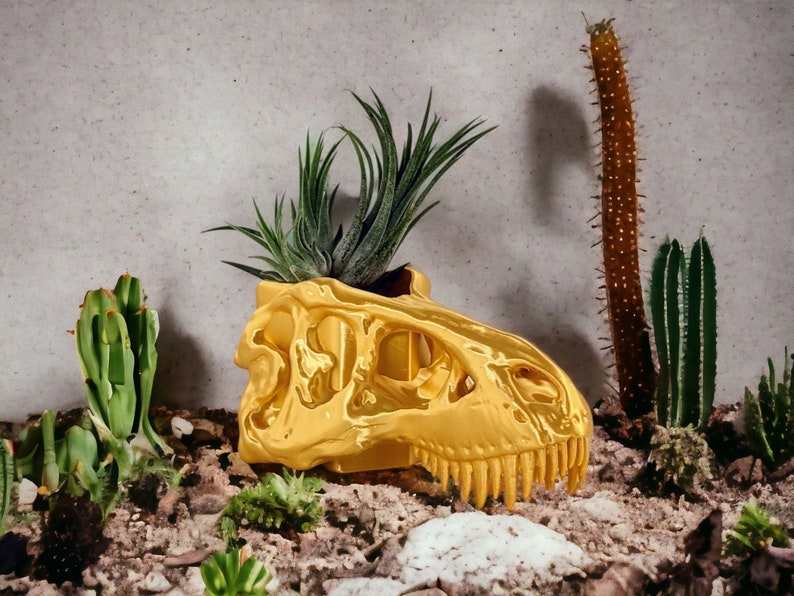 Op de afbeelding: Een gouden dinosaurus schedel plantenpot met een vetplant die erin groeit. De pot staat op een bed van zand en kleine planten.