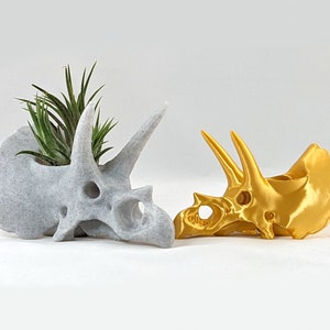Triceratops schedel luchtplantenhouder, 3D-geprinte stegosaurus, succulente plantenbak cactussen, dinosaurusdecor afbeelding 2