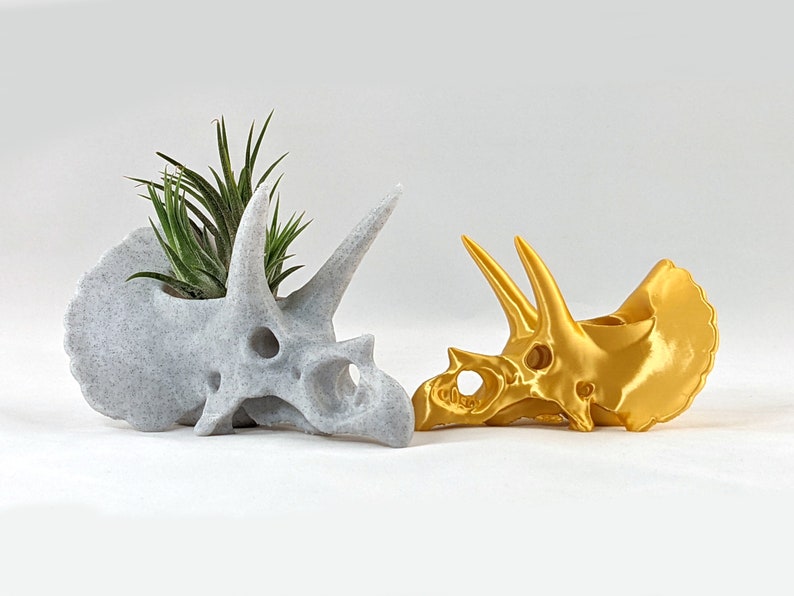 Triceratops schedel luchtplantenhouder, 3D-geprinte stegosaurus, succulente plantenbak cactussen, dinosaurusdecor afbeelding 2