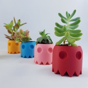 May include: Four colorful ghost-shaped planters with different succulents. The planters are yellow, blue, pink, and red.