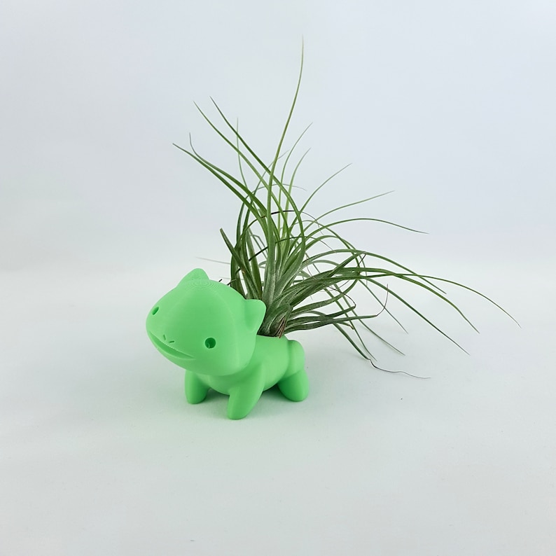 May include: A green ceramic planter shaped like a cartoon animal with a small air plant growing inside.