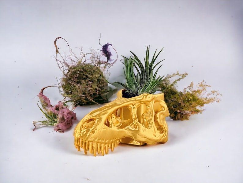 Op de afbeelding: Een gouden dinosaurus schedel plantenpot met een kleine luchtplant die erin groeit. De pot staat op een wit oppervlak met gedroogde planten en mos eromheen.