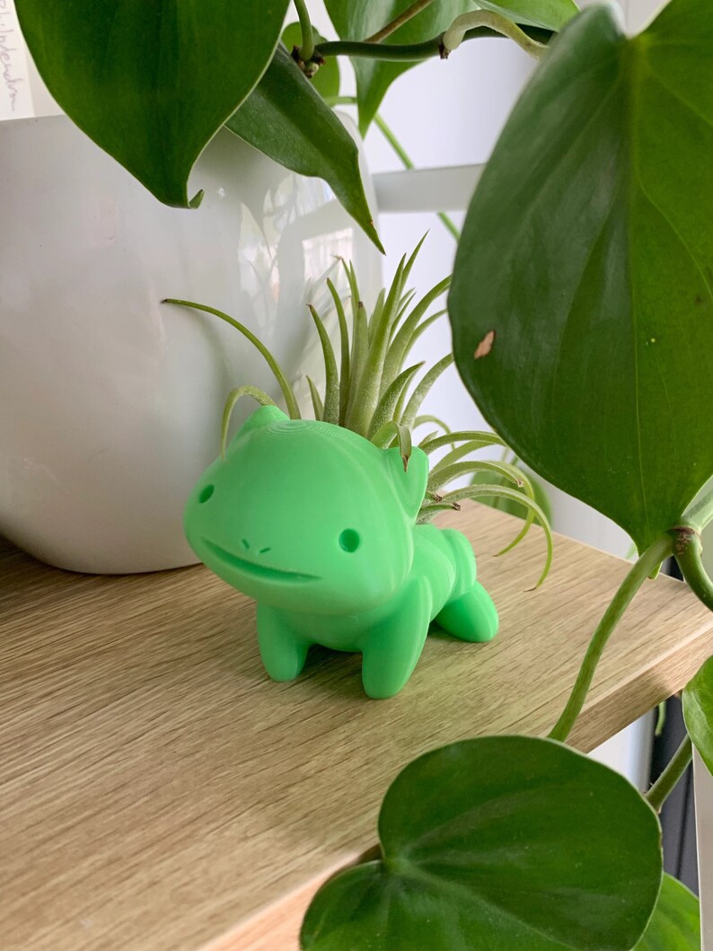 May include: A green ceramic planter shaped like a cartoon animal with a small air plant growing inside. The planter is sitting on a wooden shelf.