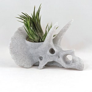 Triceratops Skull Air Pflanzenhalter, 3D Gedruckter Stegosaurus, Kakteen Sukkulente Pflanzer, Dinosaurier Dekor