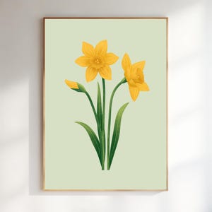 Daffodil floral poster, light green flower illustration, print