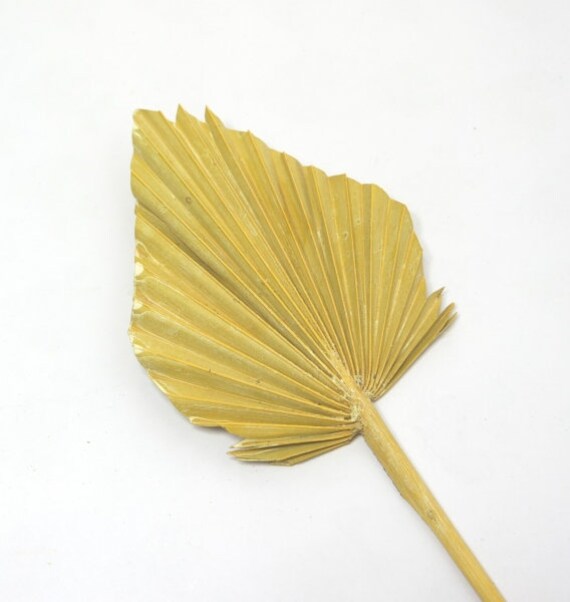 5 Stiele Palmwedel Palm Spears natur gefrostet Dekoraton 2010642