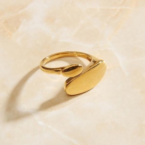 Gold Geometrische Kurve Siegelring
