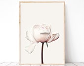 Peony poster Blush pink flower printable poster White flower print Pastel printable wall art print Minimalist botanical wall art