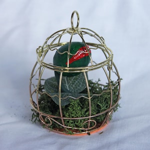 May include: A small gold birdcage with a green and red painted egg inside. The cage is filled with green moss and a single green leaf.