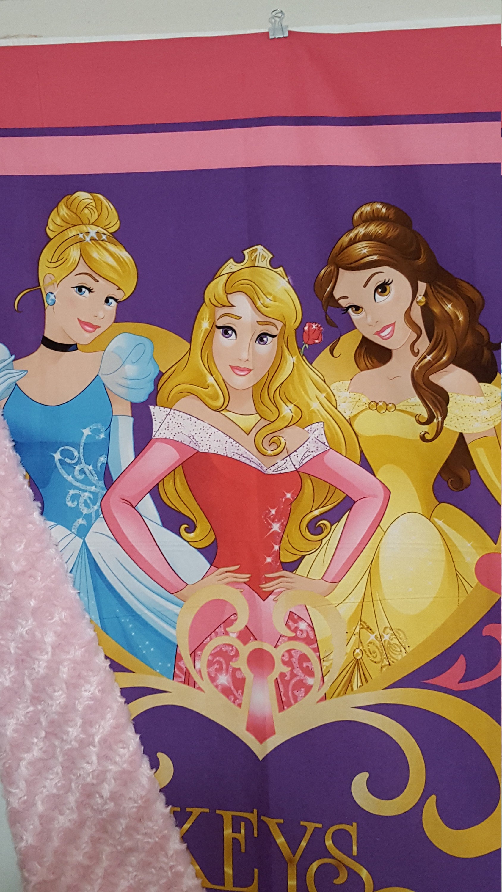 Princess Baby Blanket Disney Baby Blanket Keys to the Etsy