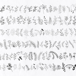 130 Folhas desenhadas à mão SVG, Plantas Cliparts, Folhas desenhadas à mão, Folha Svg, Folhas Svg, Outono Svg, Esboço de flores, Plantas Svg, Planta desenhada à mão