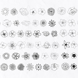 60 handgetekende bloemen SVG bundel, bloemen lijn kunst svg, handgetekende Svg, handgetekende planten, lijn kunst bloem Svg, bloemen clipart  